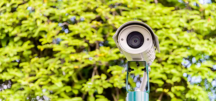 Advanced Surveillance Solutions for Every Need in New Brighton