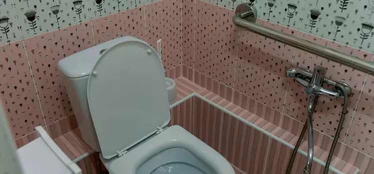 Meeting Diverse Needs With Accessible Restroom Solutions in New Brighton, MN